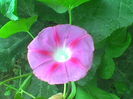 Imag040
