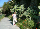 turisti si-au scris numele pe frunzele de kaktusi