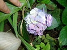 P1010079