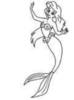 images (20)
