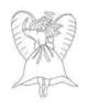 images (28)