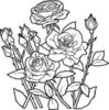 images (47)