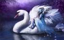 images_002