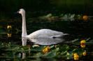 images_004