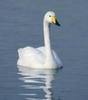 images_006