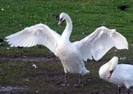 images_013
