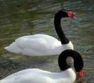 images_048