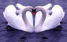 images_056