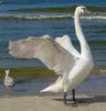 images_072