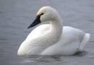 images_073