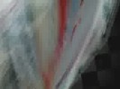 bscap0313