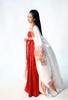 htm_2012