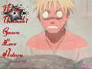 [Ce?]Naruto ia auzit....
