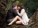 images (40)