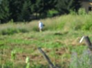DSCN8148