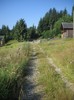 DSCN8155