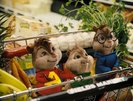 CHIPMUNKS