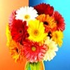 flowers_avatar