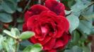 images (21)
