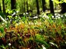 images (41)