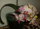 Picture 015