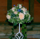 3014998071_81f1e8f2e3