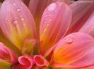 images (18)