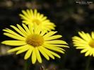 images (53)