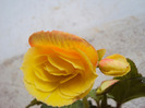 DSC02848