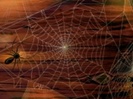 spiders_halloween-t1