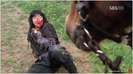 iljimae04junki77