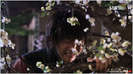 iljimae04junki104