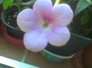 Imag036