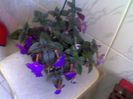 Imag042