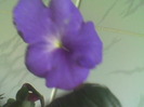 Imag048