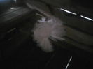 P22-07-11_17.17[2]