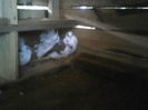 P22-07-11_17.17[3]
