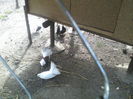 P22-07-11_17.54[1]