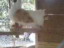 P22-07-11_18.44[2]