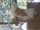 P22-07-11_18.44[3]