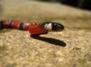 images (19)