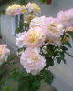Fotogr.0250