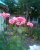 Fotogr.0253