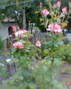 Fotogr.0254