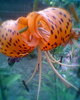 Fotogr.0232