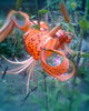 Fotogr.0234