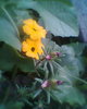 Fotogr.0230