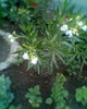 Fotogr.0265