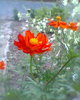 Fotogr.0241