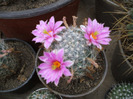 DSCF2488